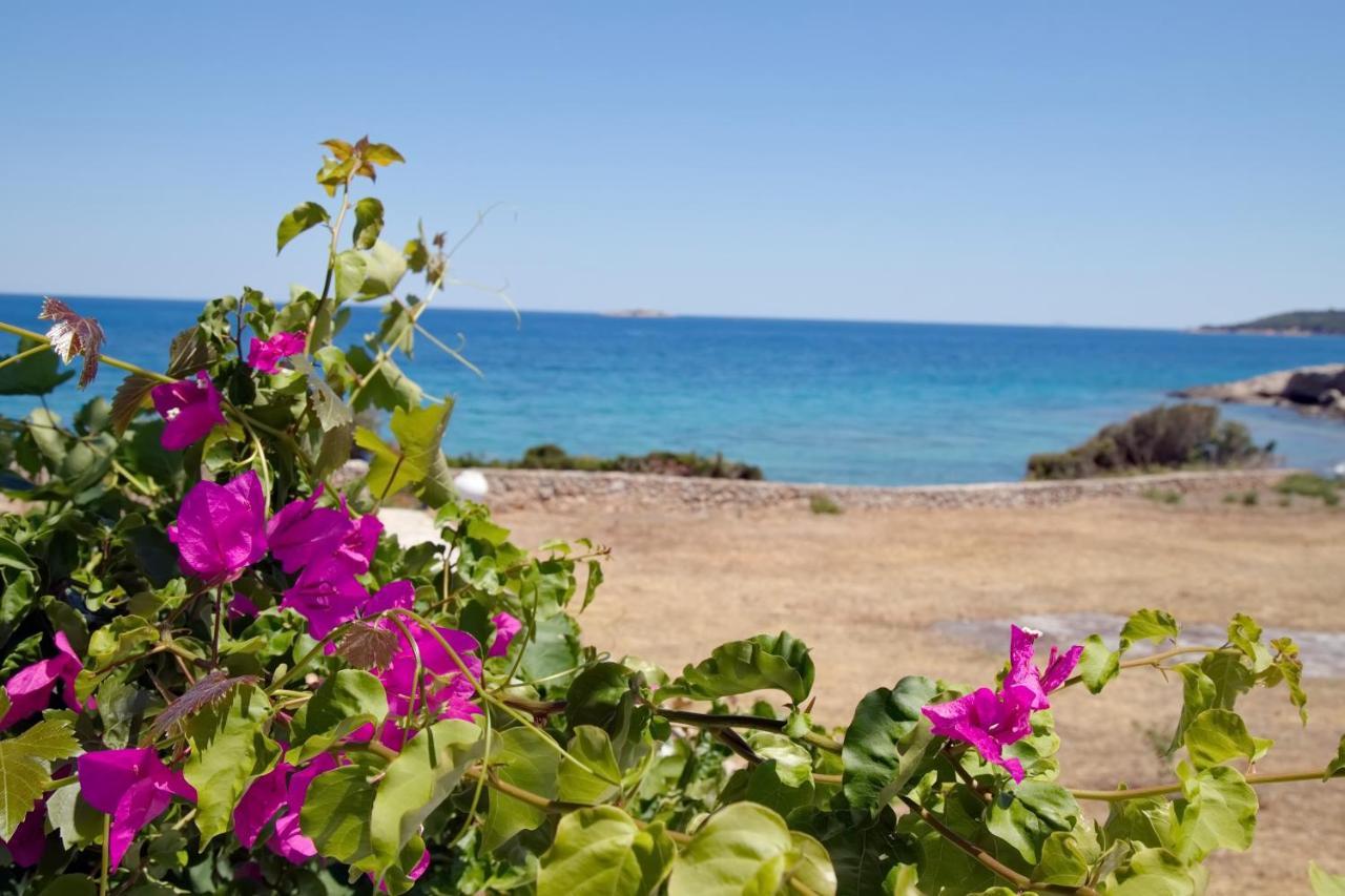 Aroura Homes 4Br Beachfront Villa Spetses Town Luaran gambar