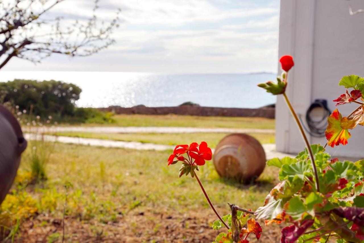 Aroura Homes 4Br Beachfront Villa Spetses Town Luaran gambar